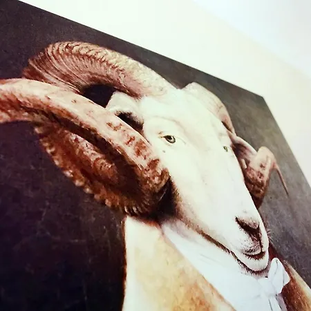 拉夫斯伯格霍夫文艺复兴住宿加早餐旅馆 酒店 4*