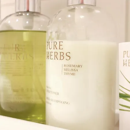 酒店 拉夫斯伯格霍夫文艺复兴住宿加早餐旅馆 魏森基兴