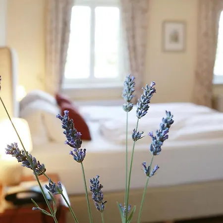 拉夫斯伯格霍夫文艺复兴住宿加早餐旅馆 酒店 魏森基兴