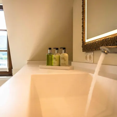 酒店 拉夫斯伯格霍夫文艺复兴住宿加早餐旅馆 魏森基兴