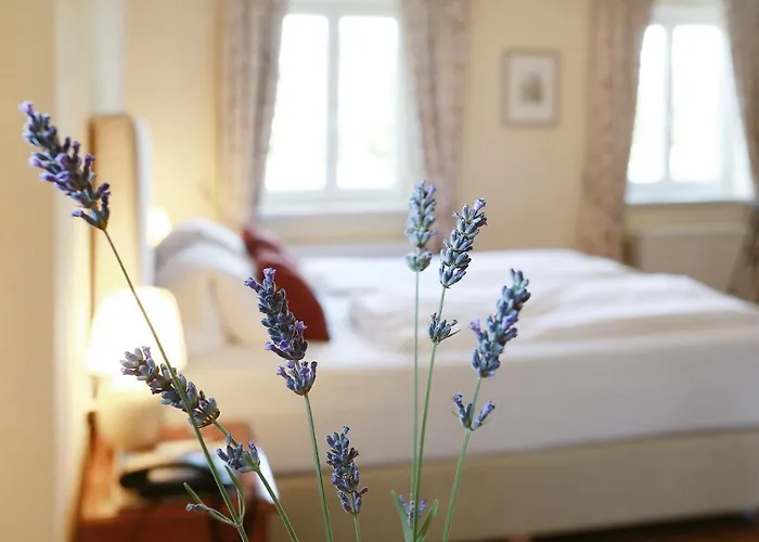 Renaissancehotel Raffelsberger Hof Ξενοδοχείο Weissenkirchen in der Wachau