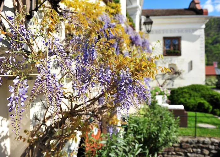 Renaissancehotel Raffelsberger Hof Ξενοδοχείο 4*